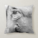 Buscar ojo cojines Elefantes