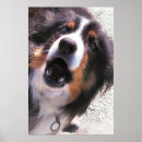 Buscar costilla posters General y unisex