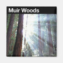 Buscar maderas del muir San francisco