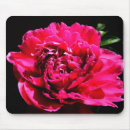Buscar peony alfombrillas de raton Rosa