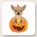 Buscar chihuahua posavasos Animal