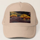 Buscar hong gorras Rojo