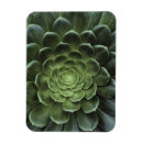 Buscar el mundo natural imanes Verde