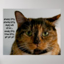 Buscar gato de calicó posters Para todos