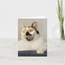 Buscar gato amante tarjetas Pensar en ti