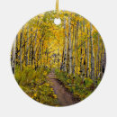 Buscar ciclismo adornos Montañas