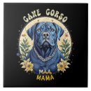 Buscar dueño azulejos Dueño de perro