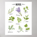 Buscar aromatic posters Para todos