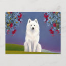 Buscar eskimos postales Perro