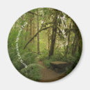 Buscar parques imanes Bosque