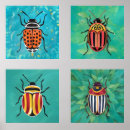 Buscar escarabajo verde posters Escarabajos