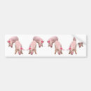 Buscar hermoso pegatinas parachoque Animales
