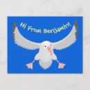 Buscar albatros postales Naturaleza