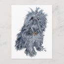 Buscar brussels postales Perros