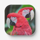 Buscar poster papel platos Naturaleza