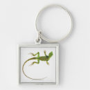 Buscar lagarto llaveros Animal