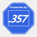 Buscar 357 2da enmienda