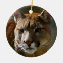 Buscar puma adornos Gato
