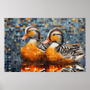Buscar pato salvaje posters Pájaro