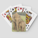 Buscar elefante indio barajas de cartas La india