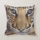 Buscar tigres cojines Cachorro