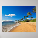 Buscar palmeras tropicales posters Hawaii