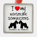 Buscar schnauzers Vacaciones