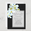 Buscar frangipani wedding invitaciones Para ellos