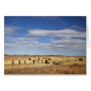 Buscar crook postales Otoño