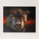 Buscar gatos negros puzzles Para ella