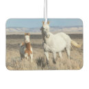 Buscar del caballo coche accesorios Caballos