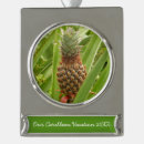 Buscar frutas tropicales adornos Piña