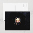 Buscar telaraña postales Fotografía