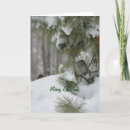 Buscar gorriones tarjetas Fotografía