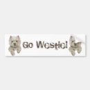 Buscar westie pegatinas parachoque Perro