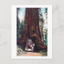 Buscar carriles postales California
