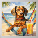 Buscar dachshund posters General y unisex