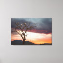 Buscar pantano lienzos Aves