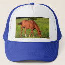 Buscar caballos gorras 1 ᵉʳ explotación