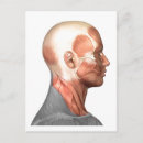 Buscar rostro humano postales Tendón