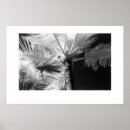 Buscar hawaii posters Paisajes
