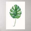 Buscar queso suizo posters Monstera