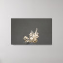 Buscar alemania lienzos Color