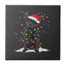 Buscar luces de navidad azulejos Cachorro