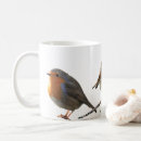 Buscar petirrojos tazas Pájaro
