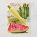Buscar semilla postales Vintage