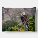 Buscar águila accesorios Ave