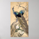 Buscar pavos arte Pavo real