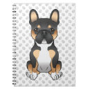 Buscar garras cuadernos General y unisex
