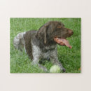 Buscar indicador puzzles Perros